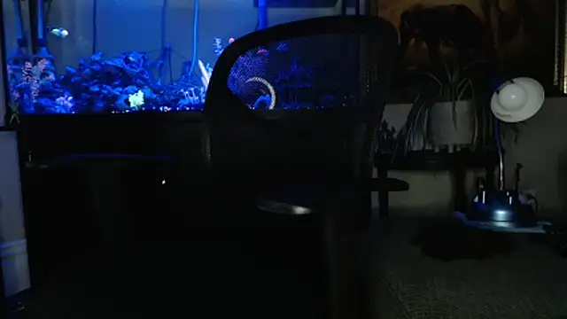 Snapshot of EspanolVato chatting on 03.18.26 EspanolVato online show from 03.18.26