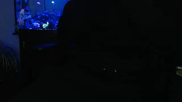 EspanolVato online show from 04.28.26