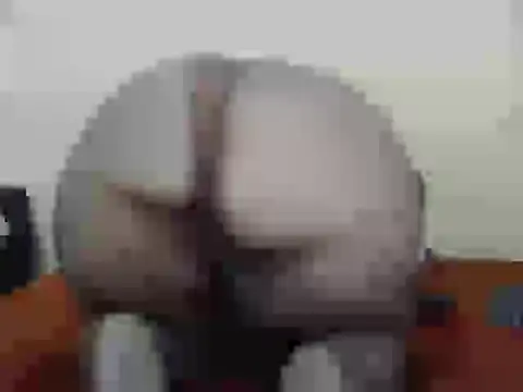 dalukuthula5832 online show from 04.03.26