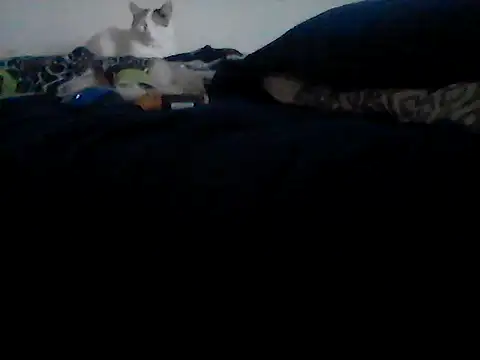 Silencio26 online show from 02.24.26