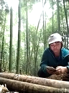 alycen online show from 01.15.26