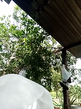 Snapshot of -Nicole-e chatting on 02.10.26 -Nicole-e online show from 02.10.26