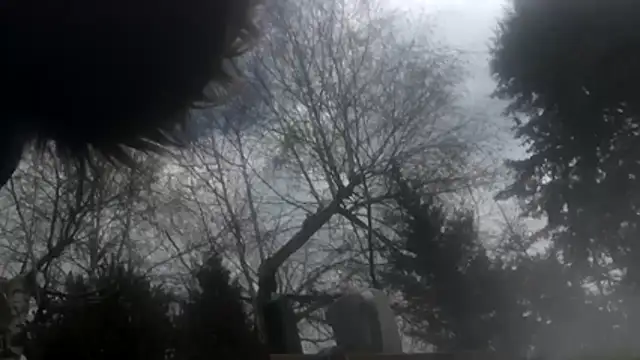 dongoralesko77 online show from 04.11.26