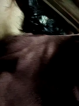 Snapshot of yu--yo chatting on 03.21.26 yu--yo online show from 03.21.26