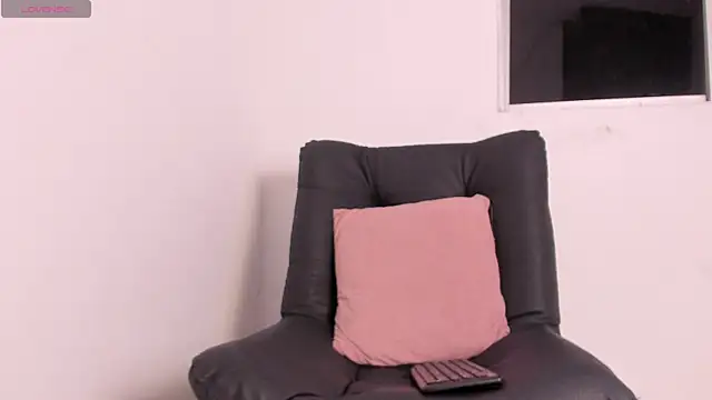 Snapshot of Davis_Axel chatting on 01.13.26 Davis Axel online show from 01.13.26