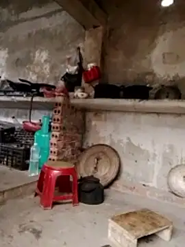 cdyyds-69 online show from 02.05.26