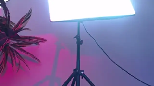 Snapshot of KimiNaru chatting on 03.03.26 KimiNaru online show from 03.03.26