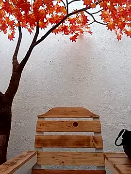 Dante Knox online show from 02.15.26