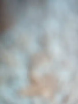 Snapshot of talytah chatting on 02.19.26 talytah online show from 02.19.26