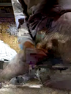 ifuckforreal online show from 02.06.26