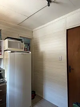 dogfrota online show from 03.06.26