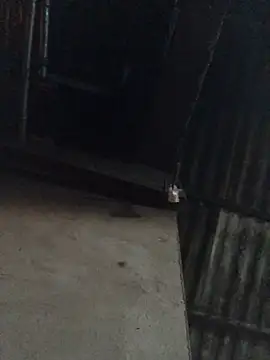 sun-shii online show from 04.16.26