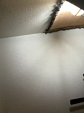 JoeyBlazy online show from 01.12.26