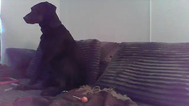 Snapshot of HungandHynotic chatting on 03.03.26 HungandHynotic online show from 03.03.26