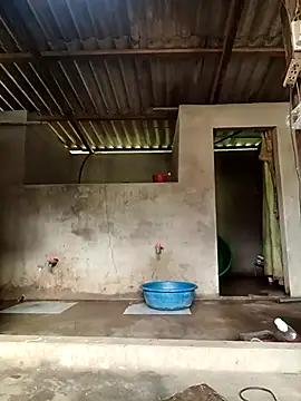 Snapshot of -Likin- chatting on 03.31.26 -Likin- online show from 03.31.26