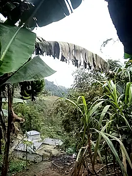 Snapshot of kaia-cam chatting on 02.20.26 kaia-cam online show from 02.20.26