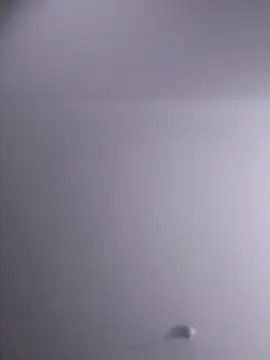 NickoHetero online show from 02.10.26