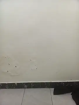 PatriciaVen online show from 02.03.26