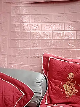 Snapshot of NgocLinh_69 chatting on 04.11.26 NgocLinh 69 online show from 04.11.26