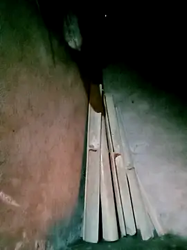 Diana-02 online show from 03.24.26