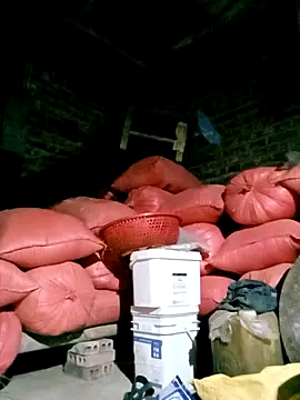 Diana-02 online show from 03.29.26