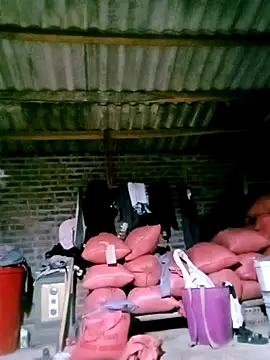 Diana-02 online show from 04.04.26