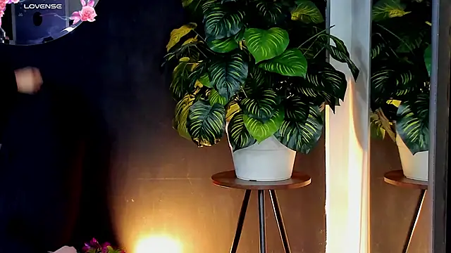 Noaah25  online show from 04.10.26