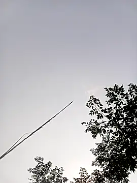 LISAA-6969 online show from 04.15.26