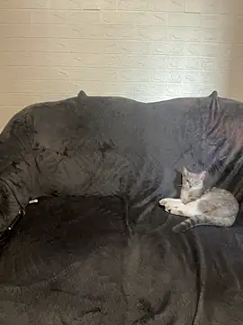 AlisRoxy online show from 02.14.26