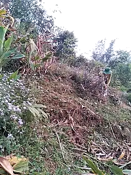 Snapshot of lia-coy chatting on 04.15.26 lia-coy online show from 04.15.26