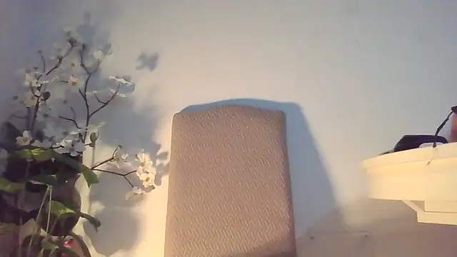 Dolcezzastella online show from 03.01.26