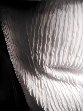 Snapshot of RosseLaure chatting on 02.25.26 RosseLaure online show from 02.25.26