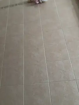 joy1334 online show from 02.09.26