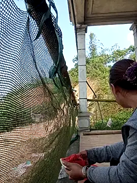 cutebobi online show from 04.09.26