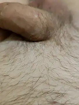 Halunja online show from 02.03.26