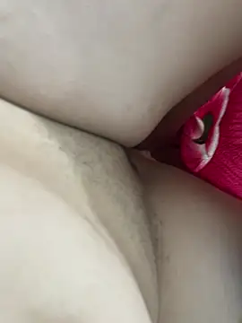 teubrinquedinho online show from 02.24.26