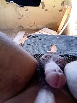 Elbayda online show from 03.28.26