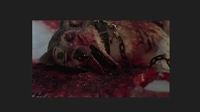 lil monikaa online show from 04.12.26