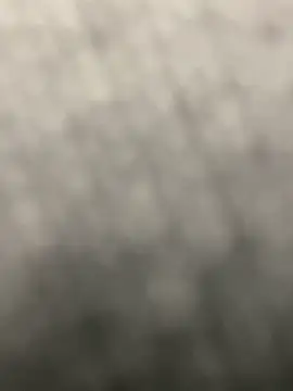 pizza pa online show from 03.31.26