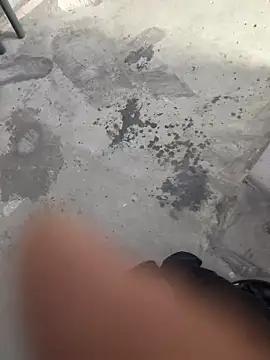 Wvpppp online show from 02.24.26