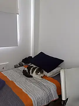 Snapshot of Nikolth_4 chatting on 02.04.26 Nikolth 4 online show from 02.04.26