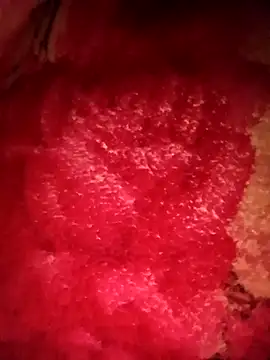 mehedi hot online show from 02.24.26