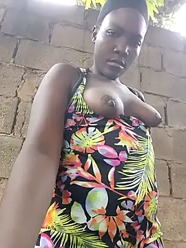 Bald gee online show from 03.12.26