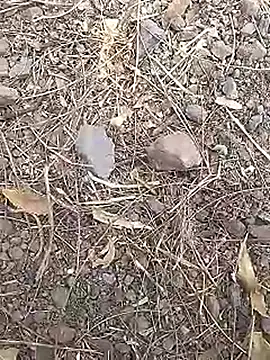 Cute Boy 4 online show from 03.19.26