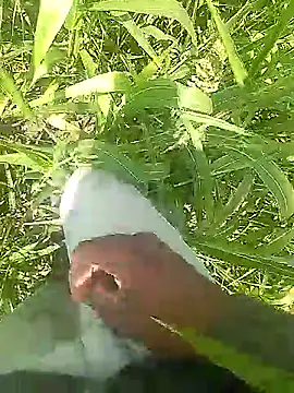 Cute Boy 4 online show from 03.31.26