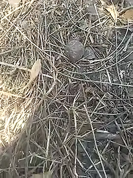 Cute Boy 4 online show from 04.02.26