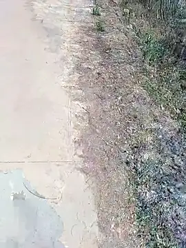 janu 9900 online show from 02.18.26