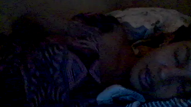 Snapshot of lorraine2036 chatting on 02.17.26 lorraine2036 online show from 02.17.26