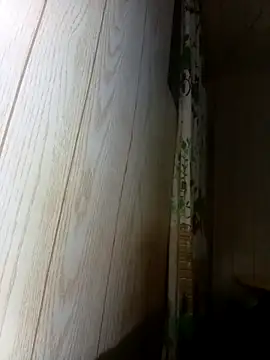 Snapshot of Prikev38452 chatting on 02.12.26 Prikev38452 online show from 02.12.26