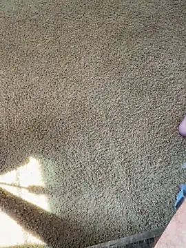 bwcjay2026 online show from 03.16.26